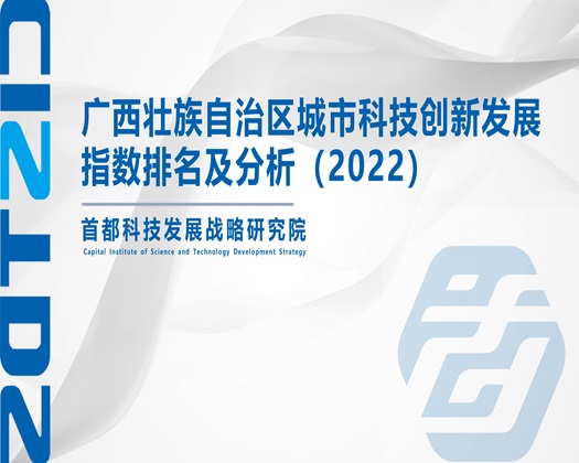 www.操插逼【成果发布】广西壮族自治区城市科技创新发展指数排名及分析（2022）